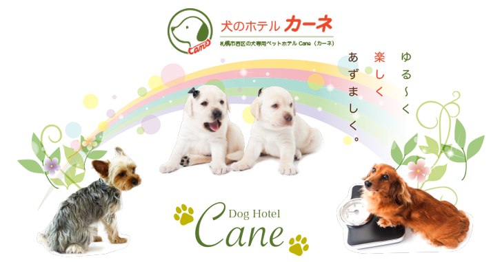 札幌市西区の犬専用完全個室のペットホテル 犬のホテルcane カーネ
